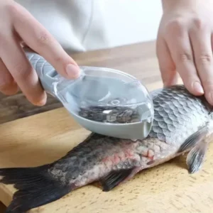 Jiji  Smart Fish Scale Removal