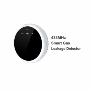 Smart Gas Leakage Detector